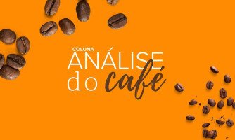 COLUNA ANÁLISE DO CAFÉ