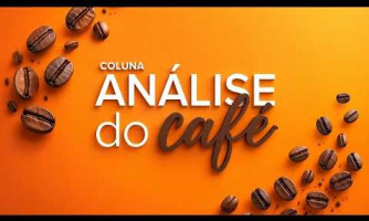 Coluna Análise do Café - 28/08/2026