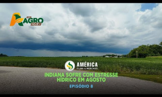 AMERICA CLIMATE AND MARKET - EPISODE 8 - APROSOJA MT - RÁDIO AGRO HOJE