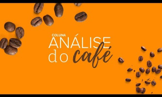 COFFEE ANALYSIS COLUMN - 03/07/2025