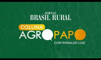 COLUNA AGRO PAPO - 24/10/2024