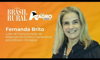ENTREVISTA COM FERNANDA BRITO - 04/06/2025