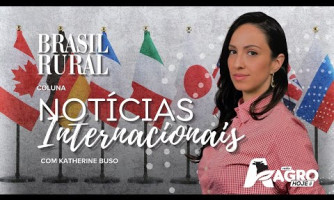 INTERNATIONAL NEWS WITH KATHERINE BUSO - 04/07/2025