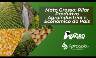MATO GROSSO REPORT: COUNTRY'S PRODUCTIVE, AGROINDUSTRIAL AND ECONOMIC PILLAR