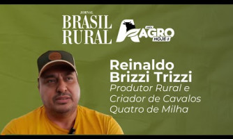 ENTREVISTA COM REINALDO BRIZZI TRIZZI - 14/03/2025