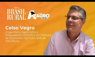 ENTREVISTA COM CELSO VEGRO - 16/06/2025