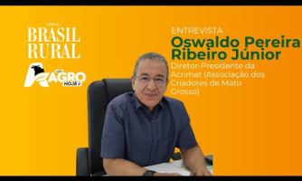 ENTREVISTA COM OSWALDO PEREIRA RIBEIRO JÚNIOR - 16/12/2024