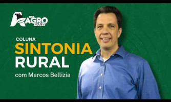 Coluna Sintonia Rural - 11/02/2026