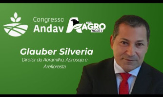 COBERTURA AREFLORESTA - ENTREVISTA GLAUBER SILVEIRA