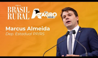 INTERVIEW WITH STATE REPRESENTATIVE MARCUS ALMEIDA - 08/20/2025