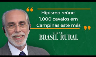 INFORMAÇÕES DE MERCADO COM VALTER PUGA - JORNAL BRASIL RURAL