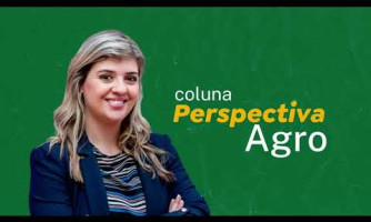 COLUNA PERSPECTIVA AGRO - 11/09/2024