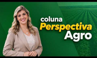 Coluna Perspectiva Agro - 15/09/2026