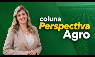 Coluna Perspectiva Agro - 08/09/2026