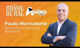 ENTREVISTA COM PAULO MONTABONE - 12/08/2025
