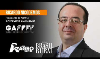 Cobertura Exclusiva Ricardo Nicodemos  - GAFFFF 2026