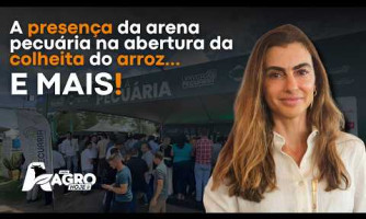 Entrevista do Dia - Antonia Scalzilli - 25/02/2026