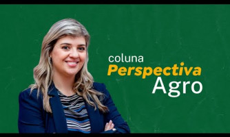 Coluna Perspectiva Agro - 10/02/2026