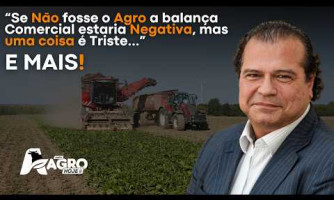 Entrevista do Dia Tirso Meirelles - 11/03/2026