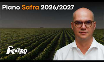 Entrevista do Dia Paulo Camuri - 01/07/2026