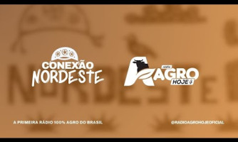 CONEXÃO NORDESTE - 01/03/2025