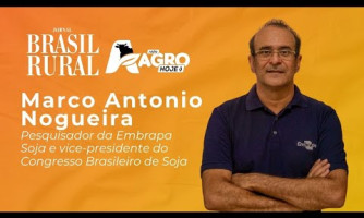 INTERVIEW WITH MARCO ANTONIO NOGUEIRA - 07/16/2025
