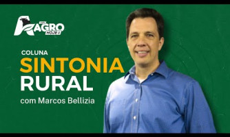 COLUNA SINTONIA RURAL - 12/02/2025