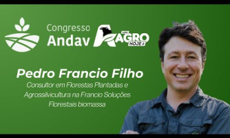 COBERTURA AREFLORESTA - ENTREVISTA PEDRO FRANCCIO FILHO