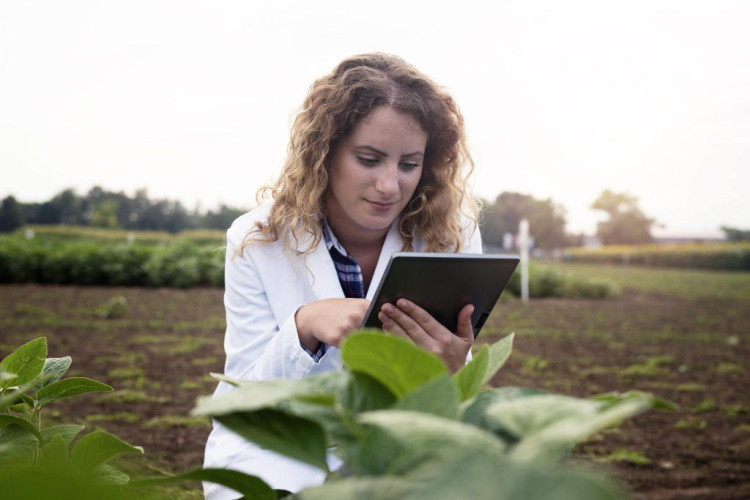 Como funciona a Rádio Agro Hoje?